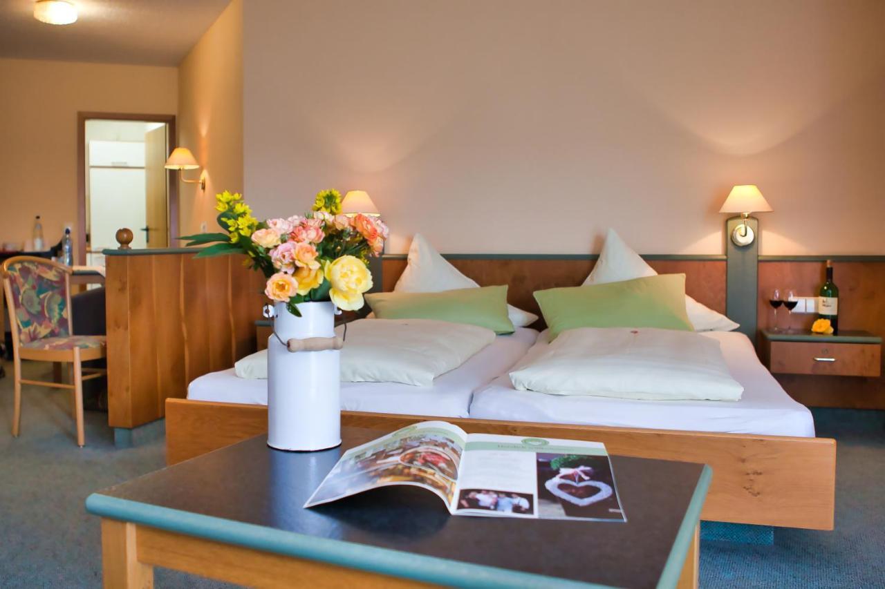 Landhotel Henkenhof Willingen Willingen  Exterior photo