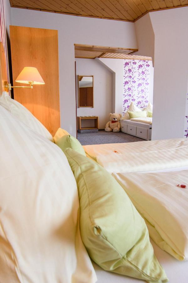 Landhotel Henkenhof Willingen Willingen  Exterior photo