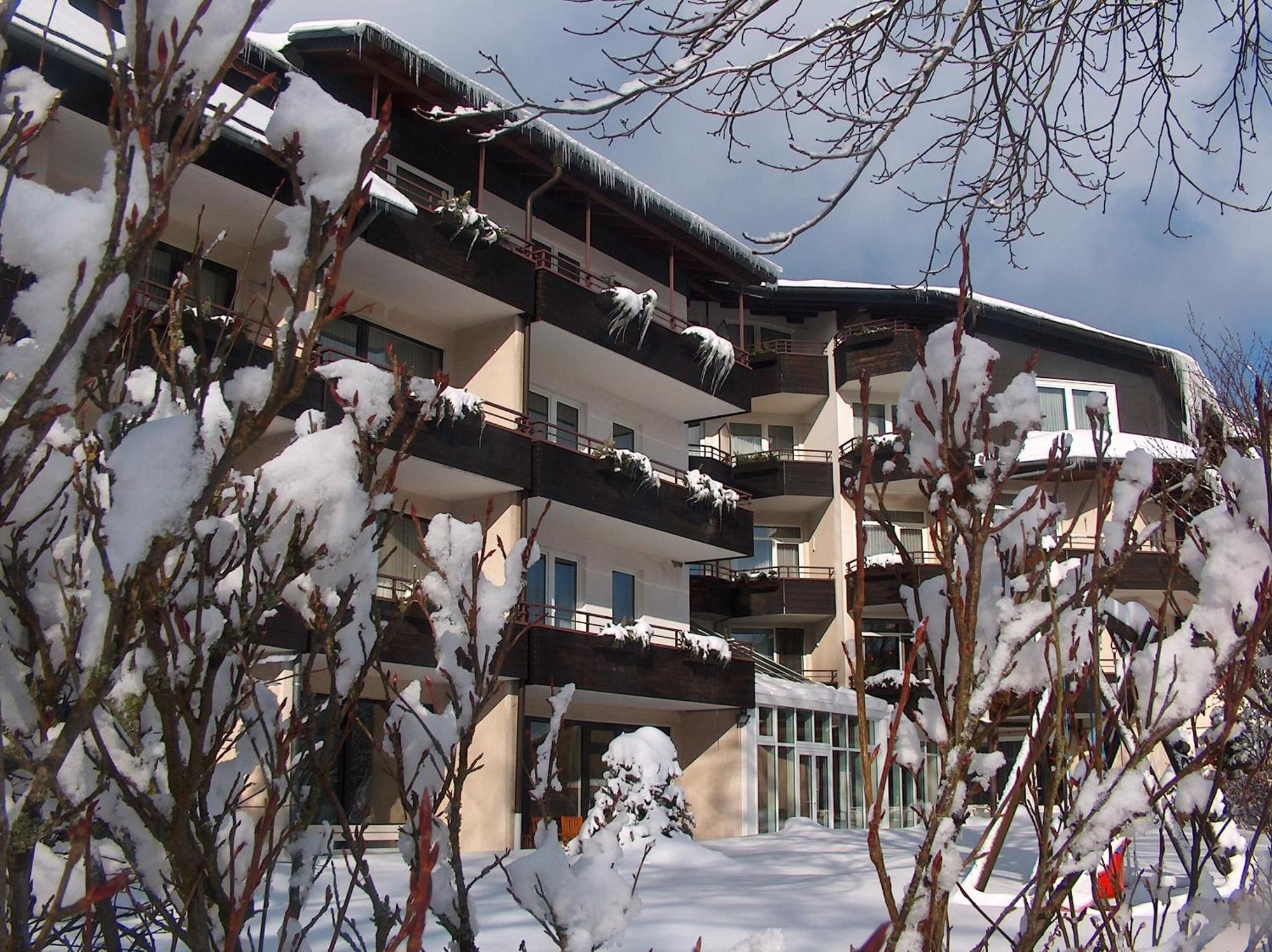 Landhotel Henkenhof Willingen Willingen  Exterior photo