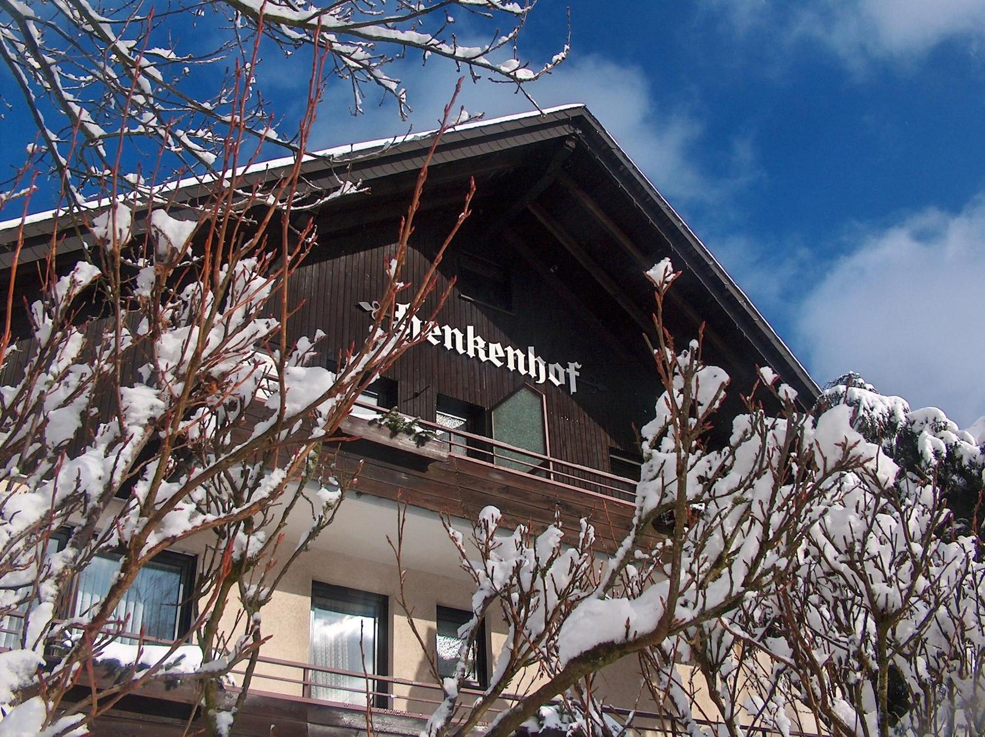 Landhotel Henkenhof Willingen Willingen  Exterior photo